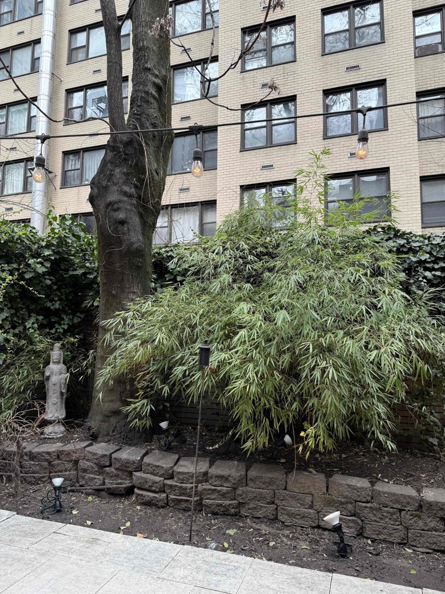 Hébergement de vacances Private Beautiful Townhome W Zen Garden New York