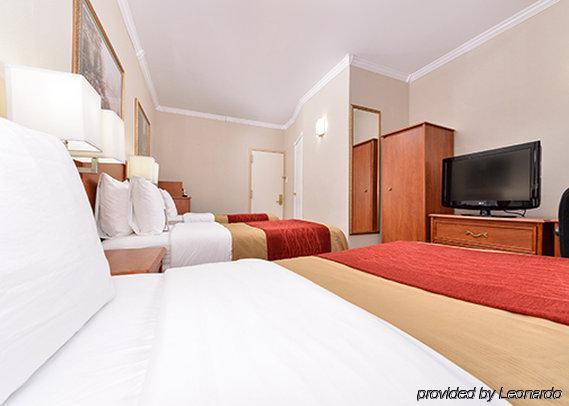 Comfort Chelsea 2* New York City