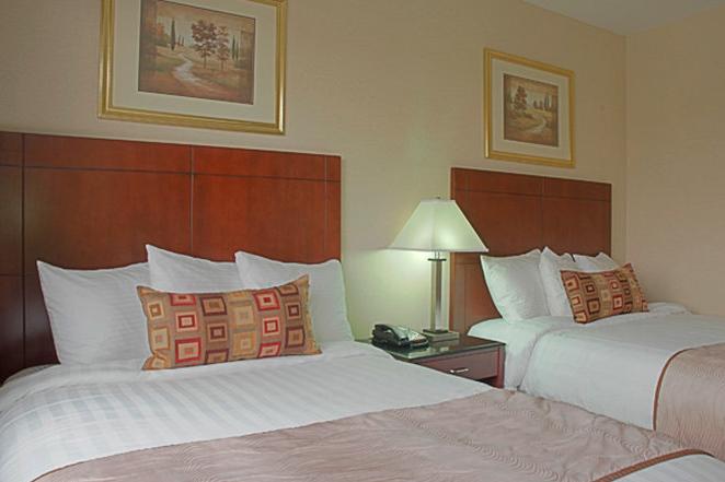 Western Arena 3* Nueva York