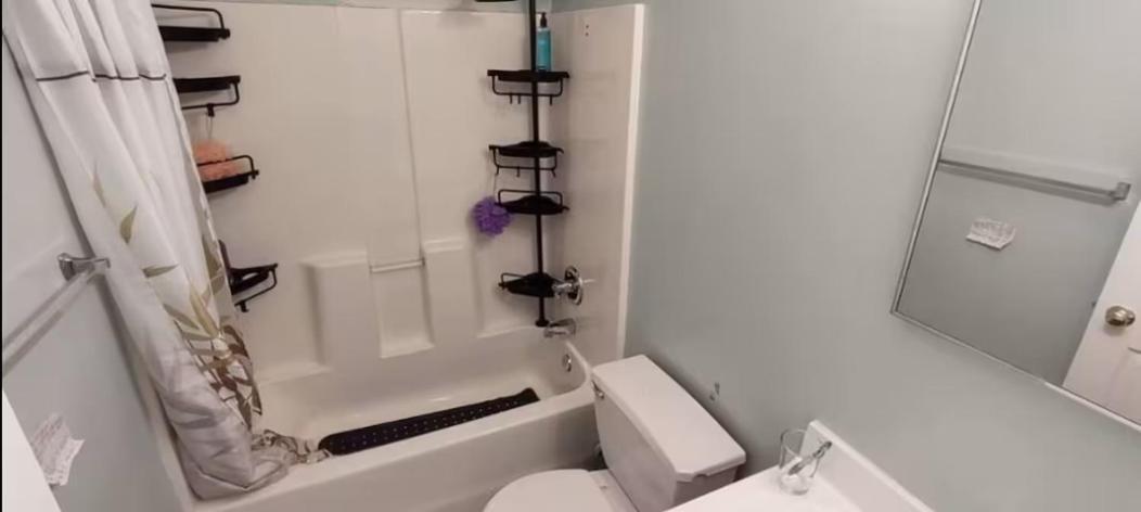 Large Triple Room In Williamsburg