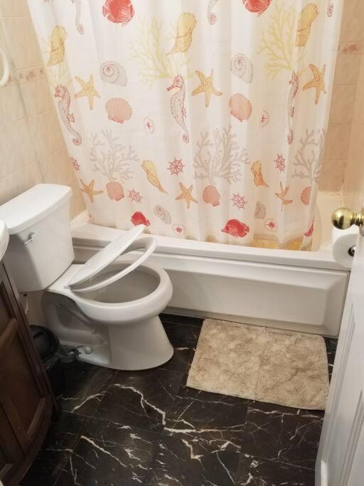 1st Floor Private Apt Near Ferry To Nyc And Park New York