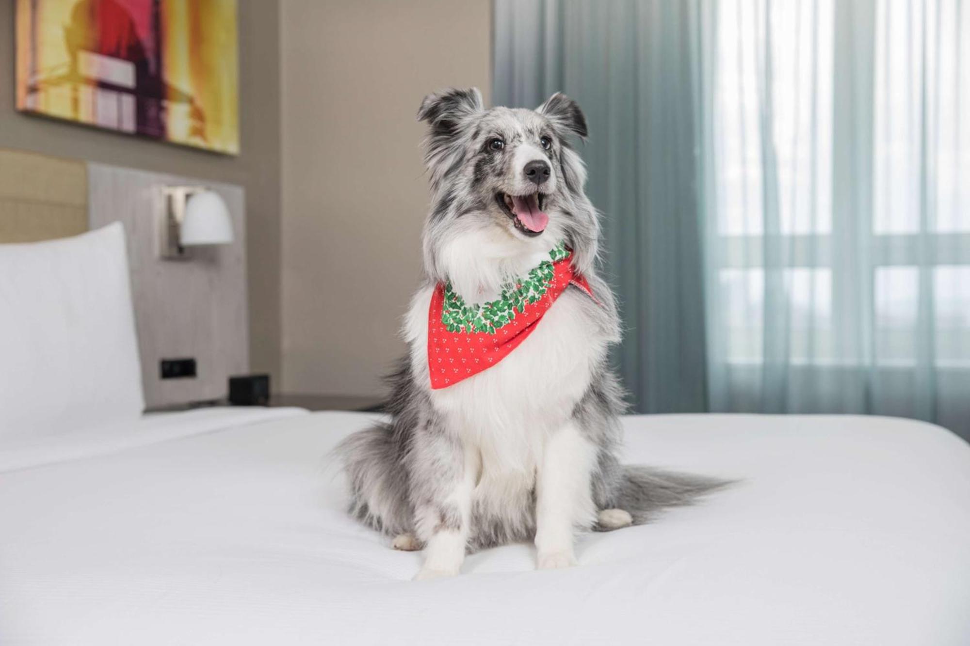 Hotel Doubletree By Hilton Times Square West New York