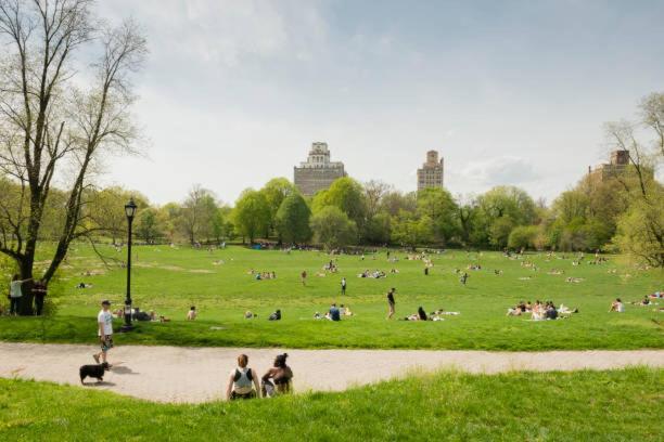 In Historic Brooklyn Townhouse Accommodatie bij particulieren *