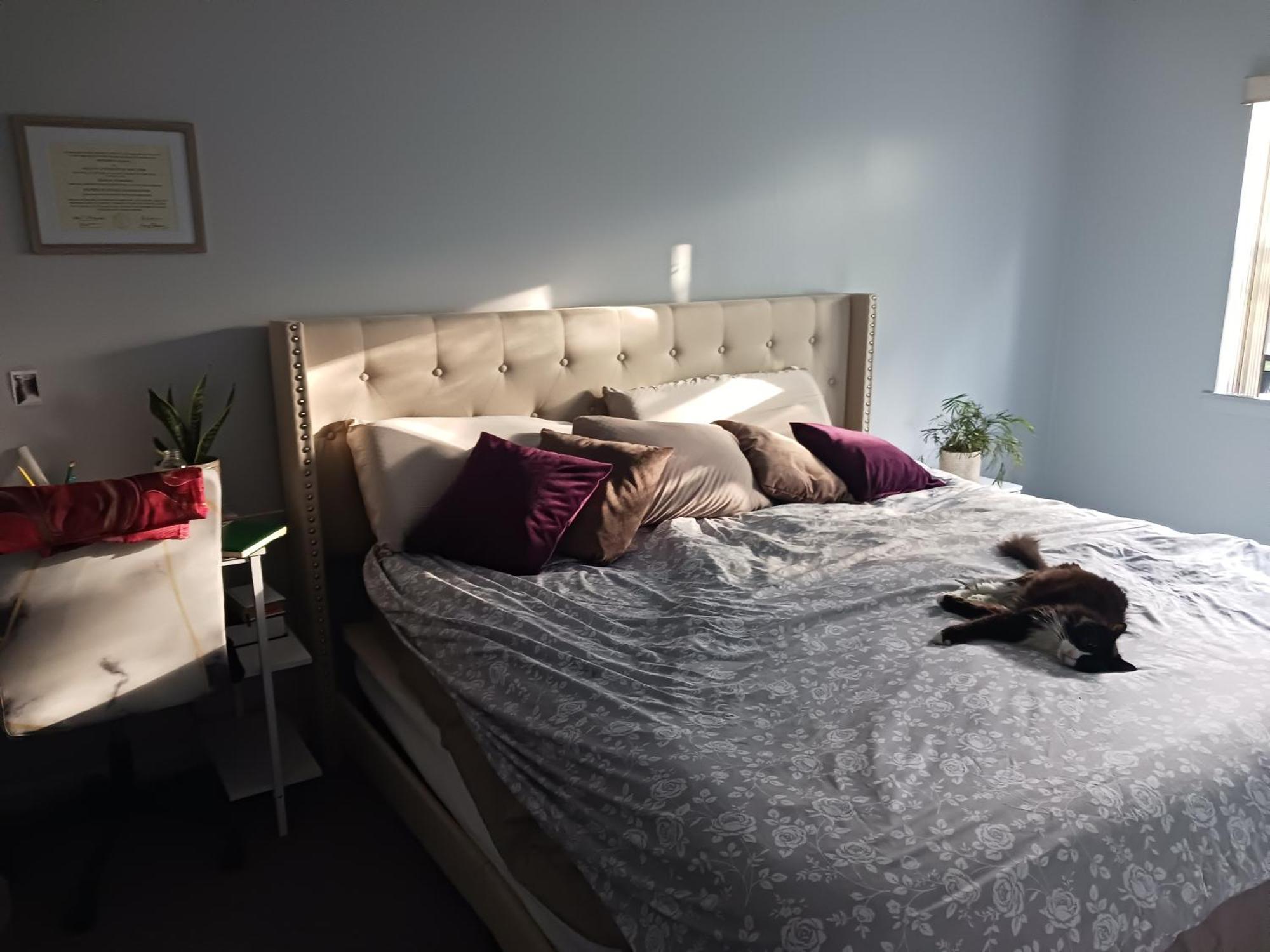 Accommodatie bij particulieren Comfy In Fresh Meadows *