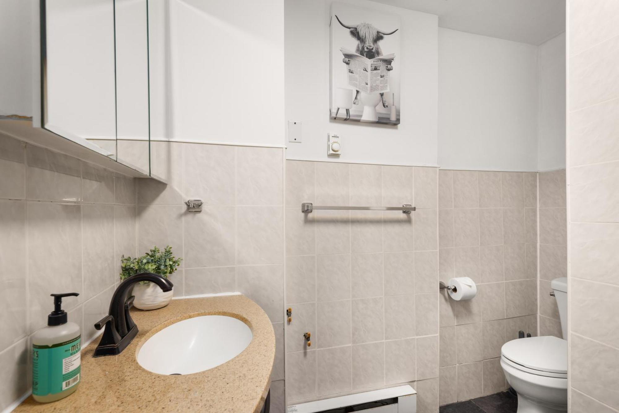 Spacious 3 Bedroom Gem In Trendy Dumbo! Apartamento