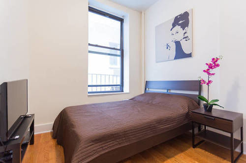 Beautiful 1 Bedroom Apartment New York City