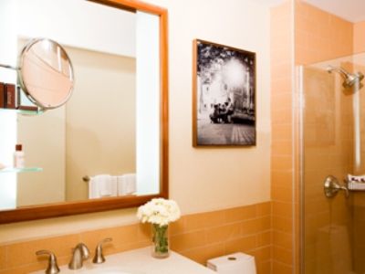 Hotel Sheraton Tribeca New York