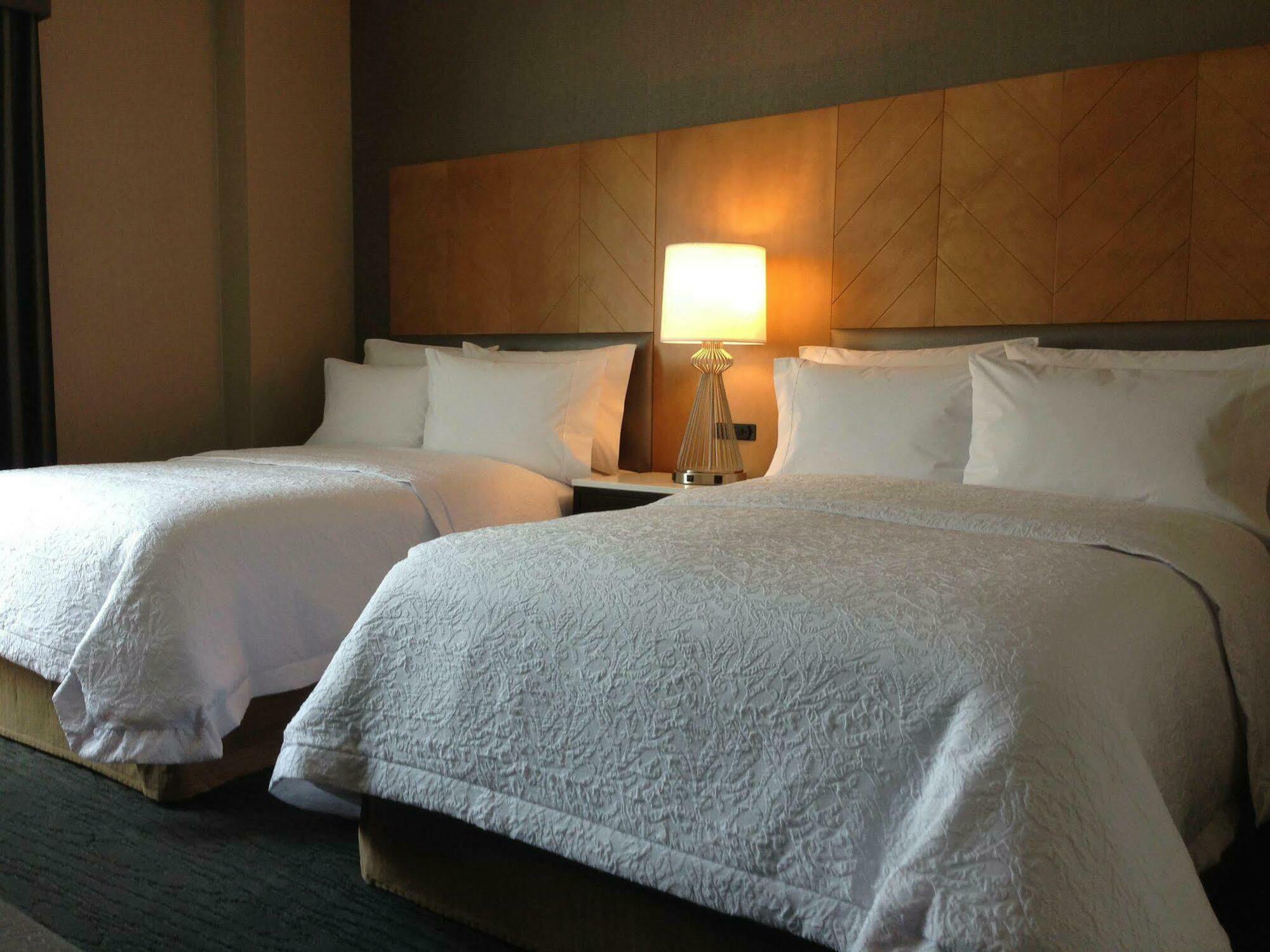 Hampton Brooklyn Downtown 3* Nova York