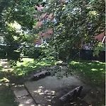 Brooklyn Spacious Space With Private Entrance, Bathroom, & Backyard - Full-Kitchen