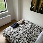 Sunny Apartment In Chelsea