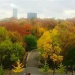 Central Park View B&B