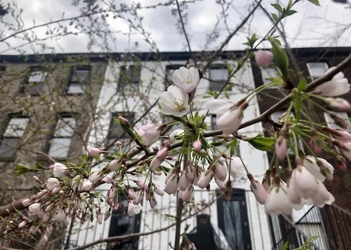 Art Filled Brooklyn Brownstone - 3 Bedroom 2.5 Bath, Deck, Tv Room, Library