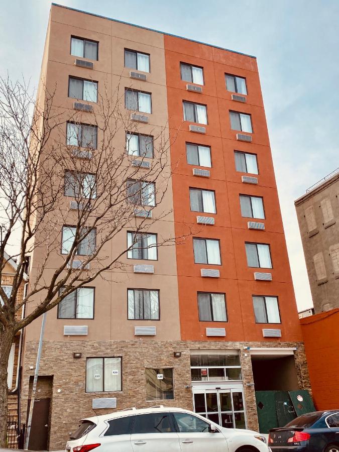 Surface Brooklyn (adults Only) 3*