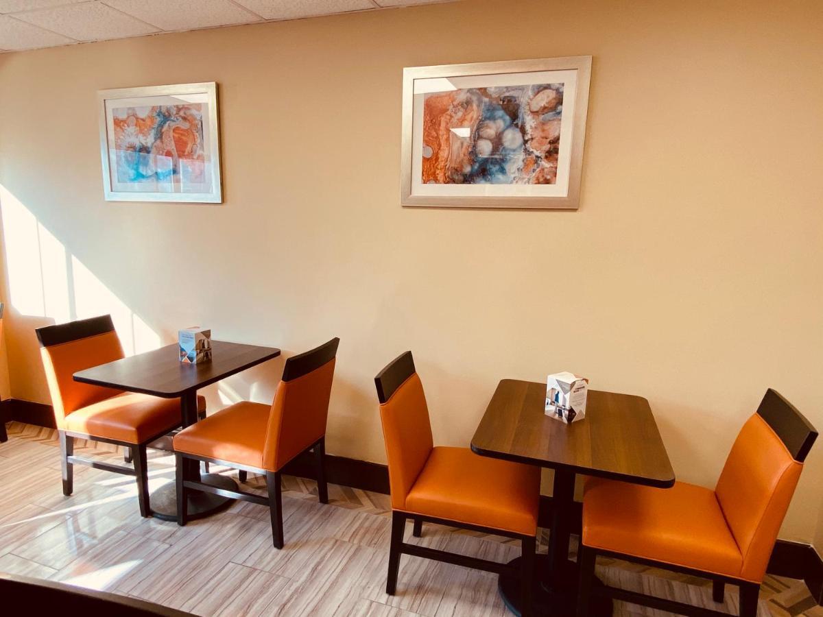 Surface Brooklyn (adults Only) 3*