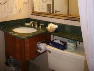 Adria Hotel&conference Center 3* Nueva York