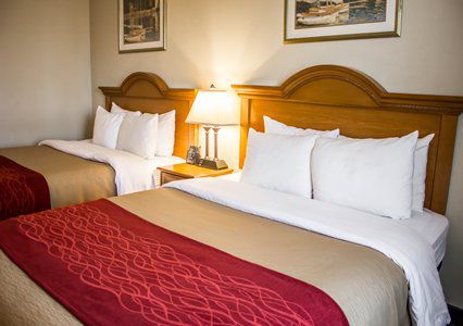 Comfort Jfk Airport 2* New York City