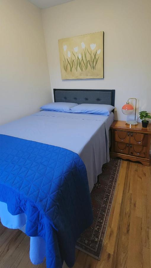 Appartement Bright & Cozy East Williamsburg 2 Bedroom