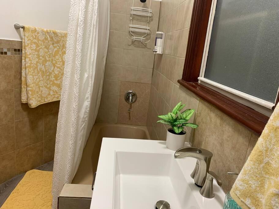 Appartement El Eden