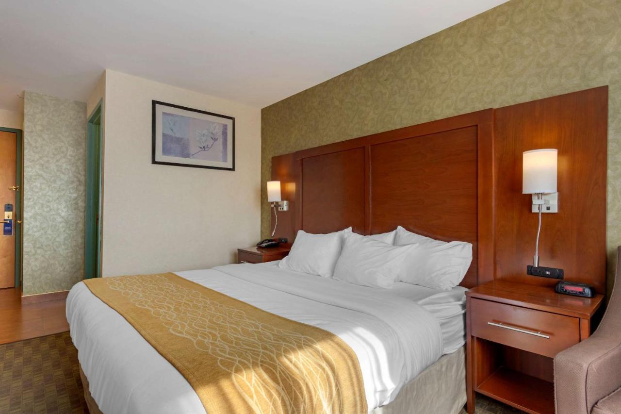 Comfort Brooklyn Hotel New York City