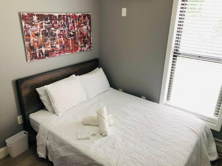 Luxury 2 Bedroom With Laundry & Close Transport *