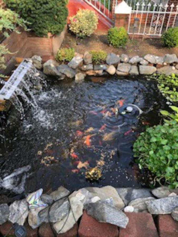 Beautiful Brooklyn Koi-fish Pond-garden Lejlighed *