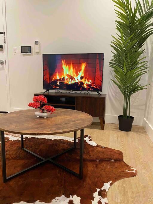 Spacious 2-bedroom With Rooftop Appartement *