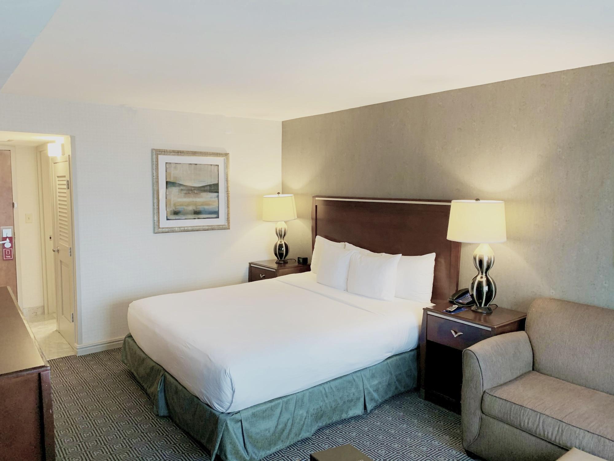 Hilton Jfk Airport 4* New York City