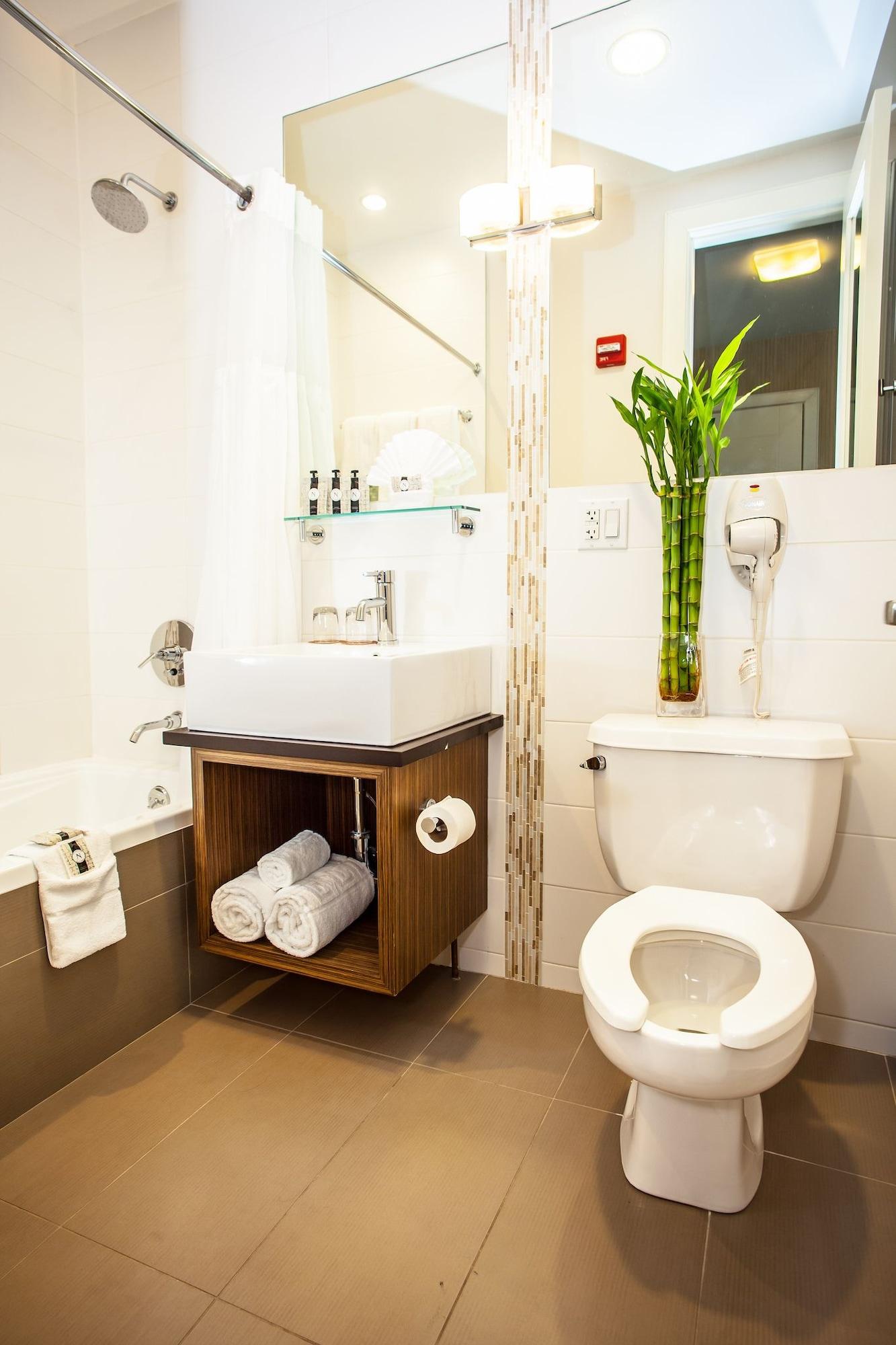 Condor Hotel Brooklyn 4*