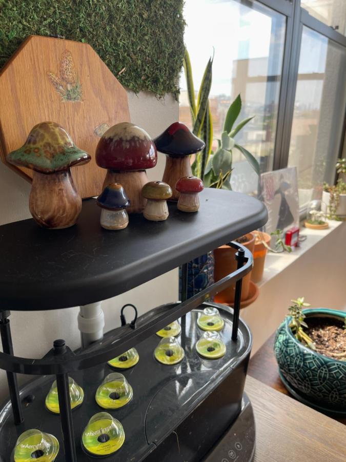 The Penthouse Apartamento