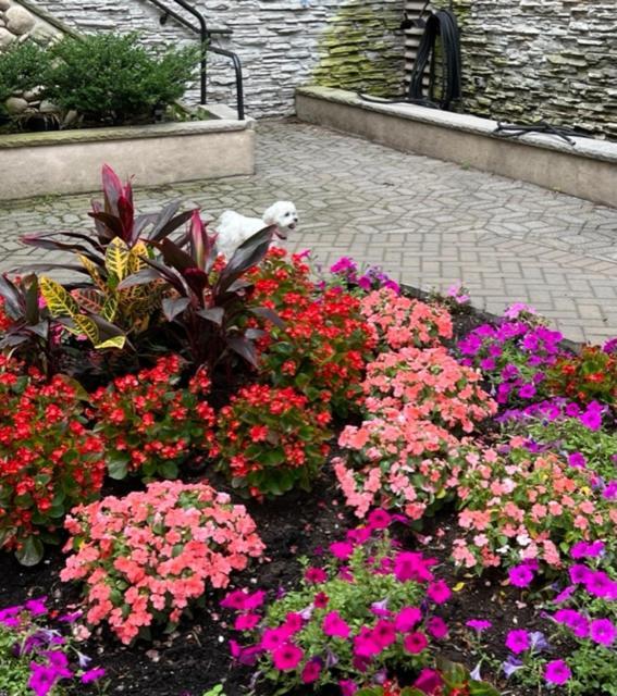 Hotel Garden & - Jfk New York