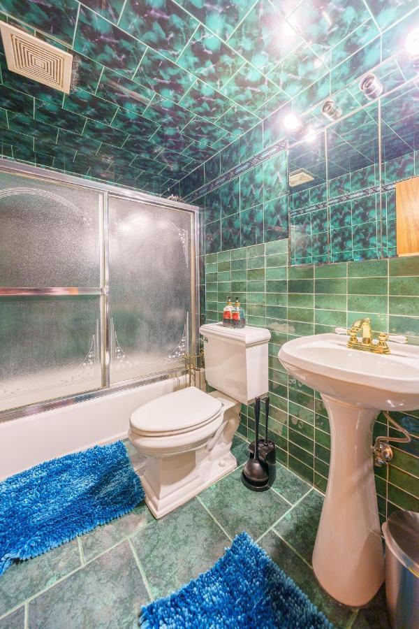 Newly Renovated Beautiful Studio Apt Appartement