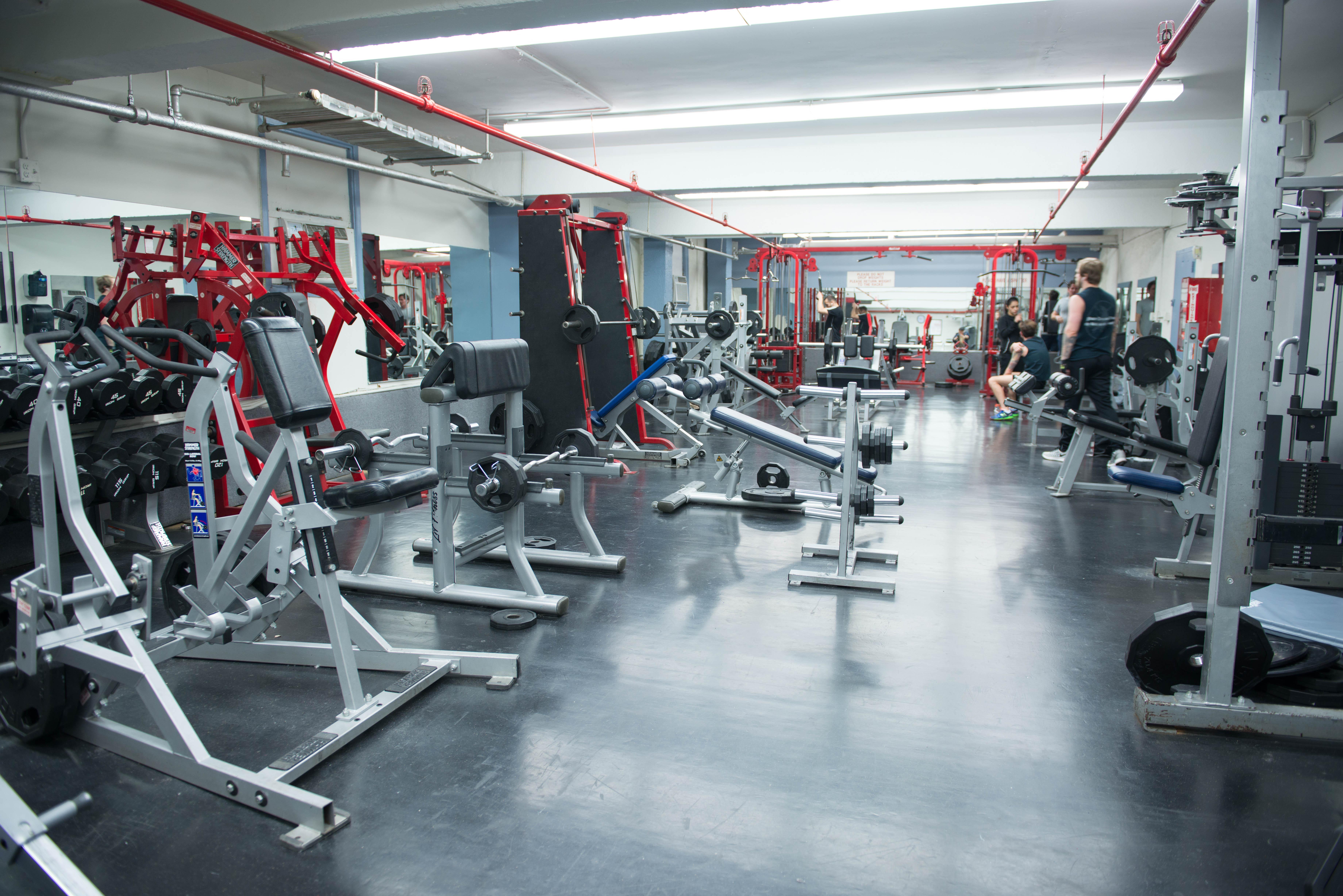 Greenpoint Ymca Brooklyn Albergue Nova York
