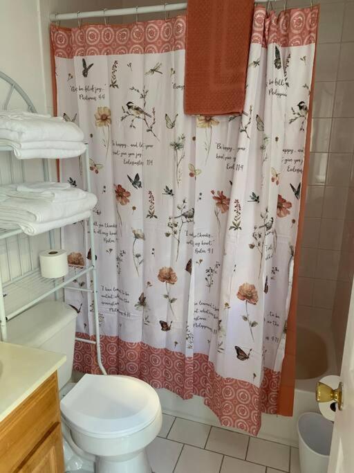 Large 3-bedrooms/2-bath Apt, One Block To Train