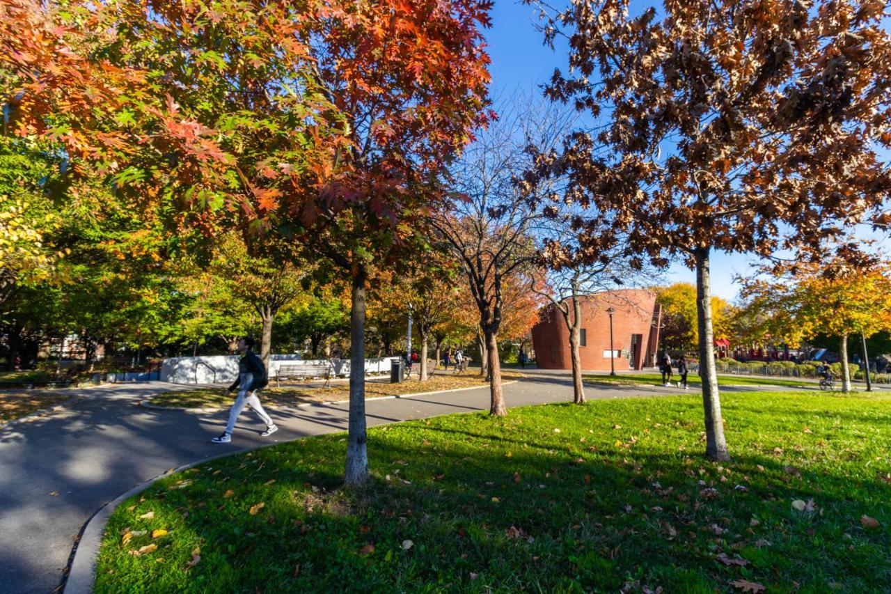 Appartamento Cozy Shack 1 Bedroom Studio With Sofa And Full Kitchen In Elmhurst Ny New York