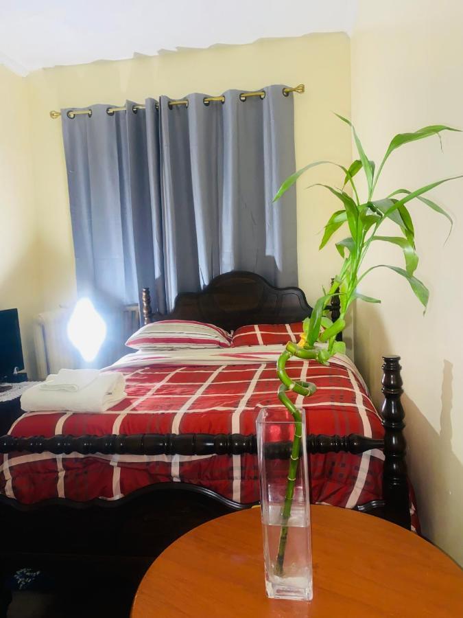 Cozy Comfort In Brooklyn New York City