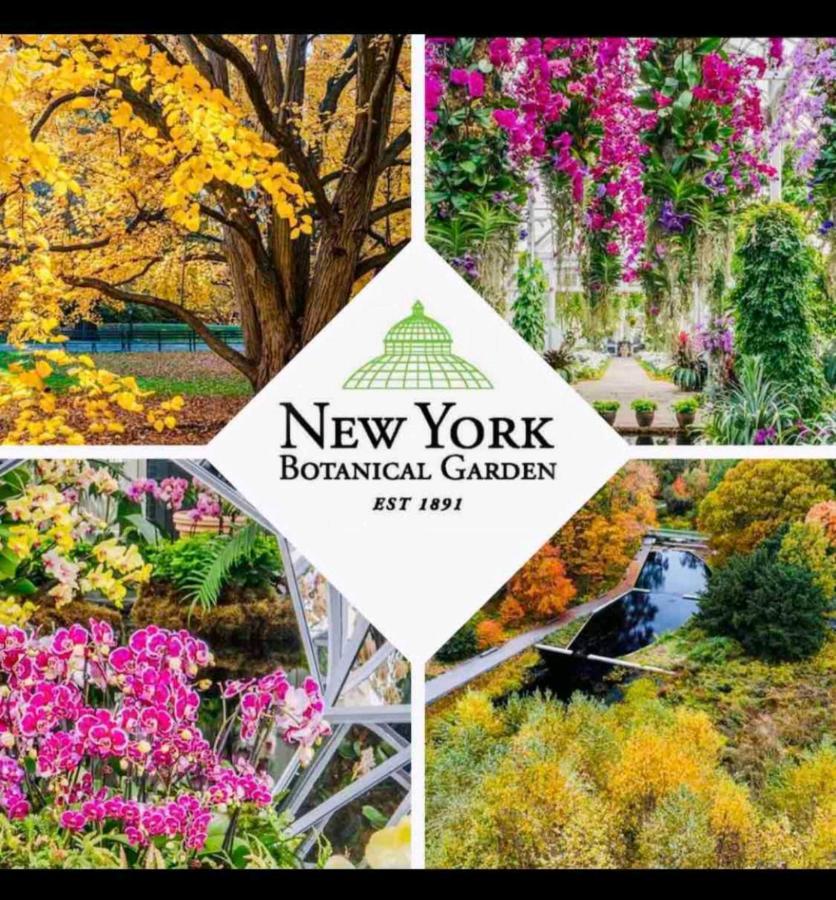 Appartement First Floor Of Beautiful House Totally Private New York