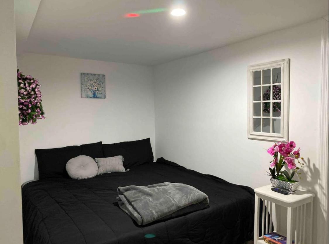 145 St Queens Near Jfk, Lga, & Citi Field, Free Parking In The Backyard 646-667-6696 Appartement *