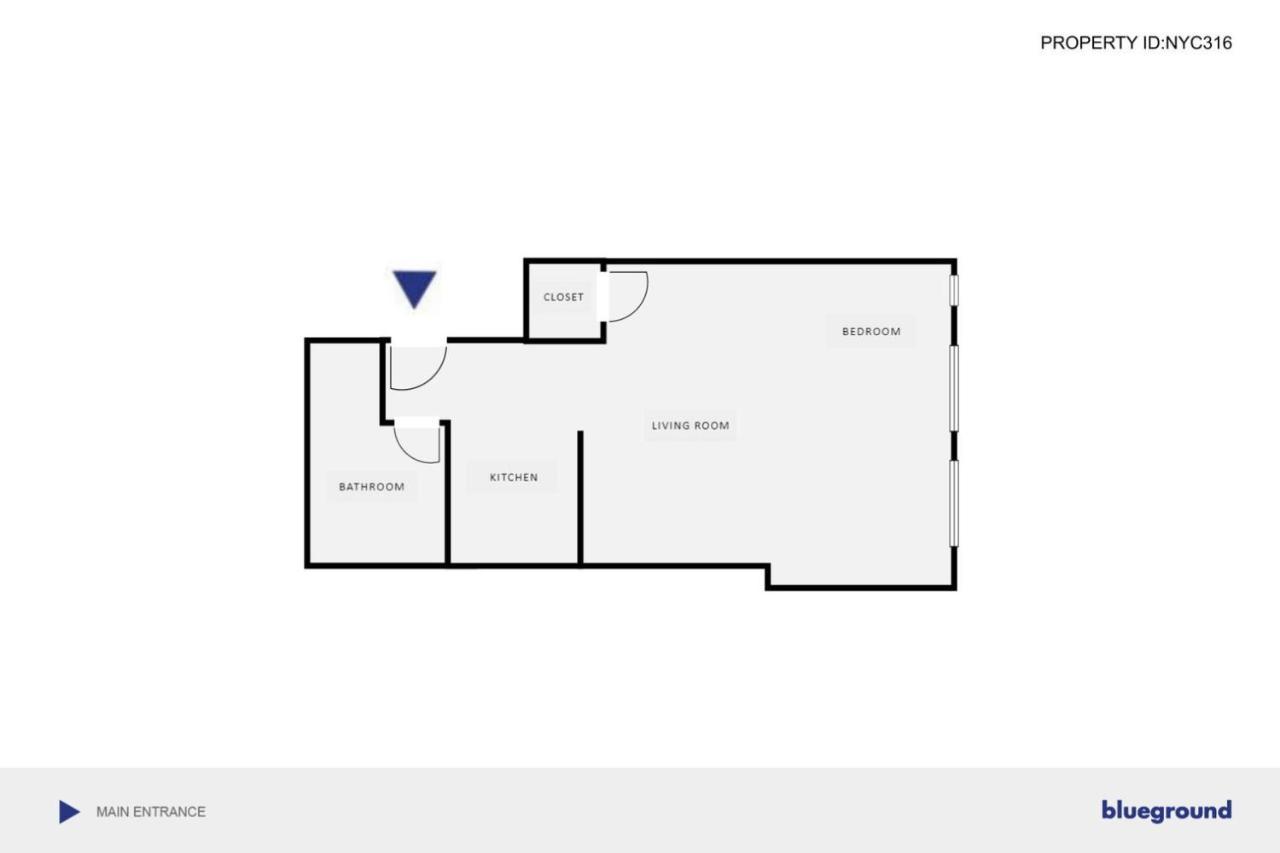 E Village W Renovated Virtual Doorman Nyc-316 Appartement New York