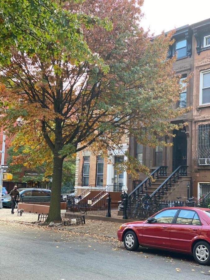 Appartement Wonderful Getaway In Bedford-stuyvesant