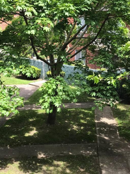 Brooklyn Luxury Spring Retreat With Private Outdoor Space * New York