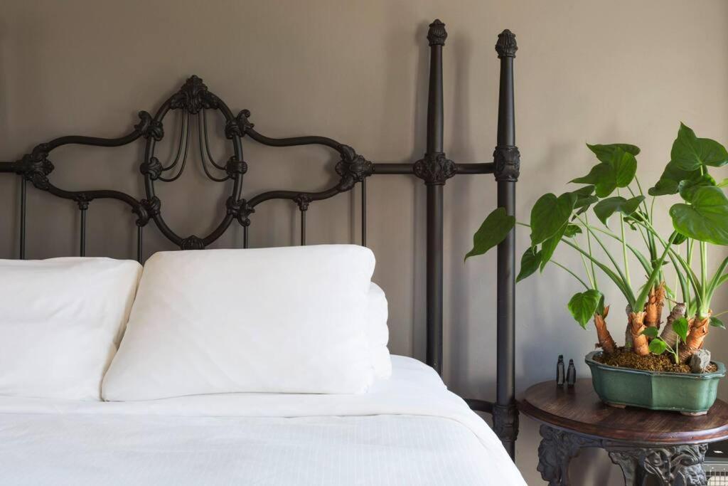 Sunny Stylish West Village Appartement