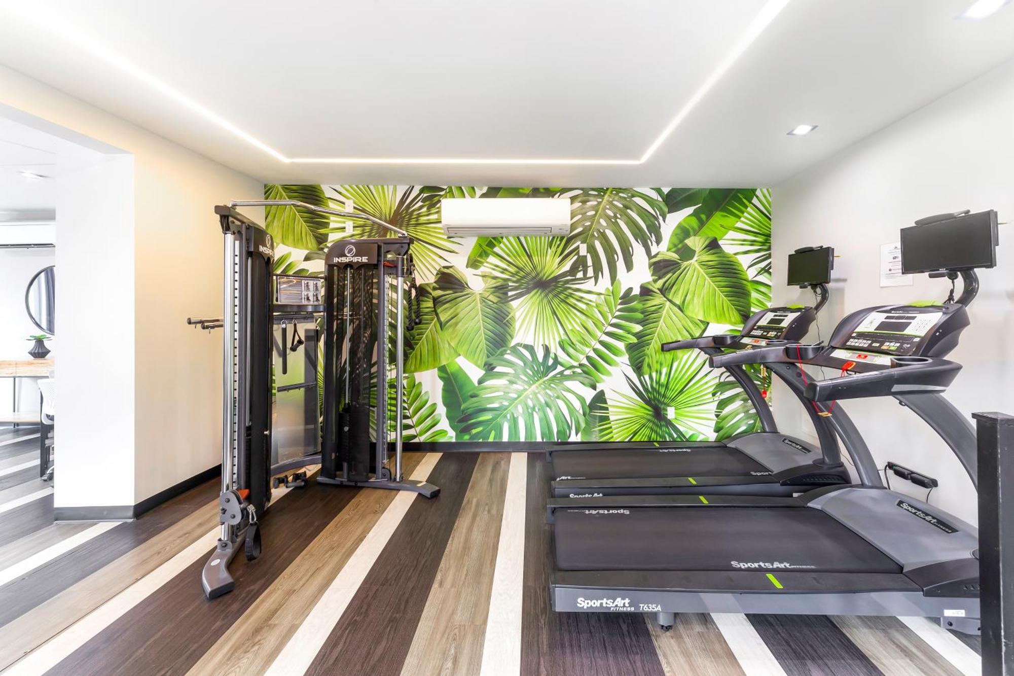 Paradise Suites New York