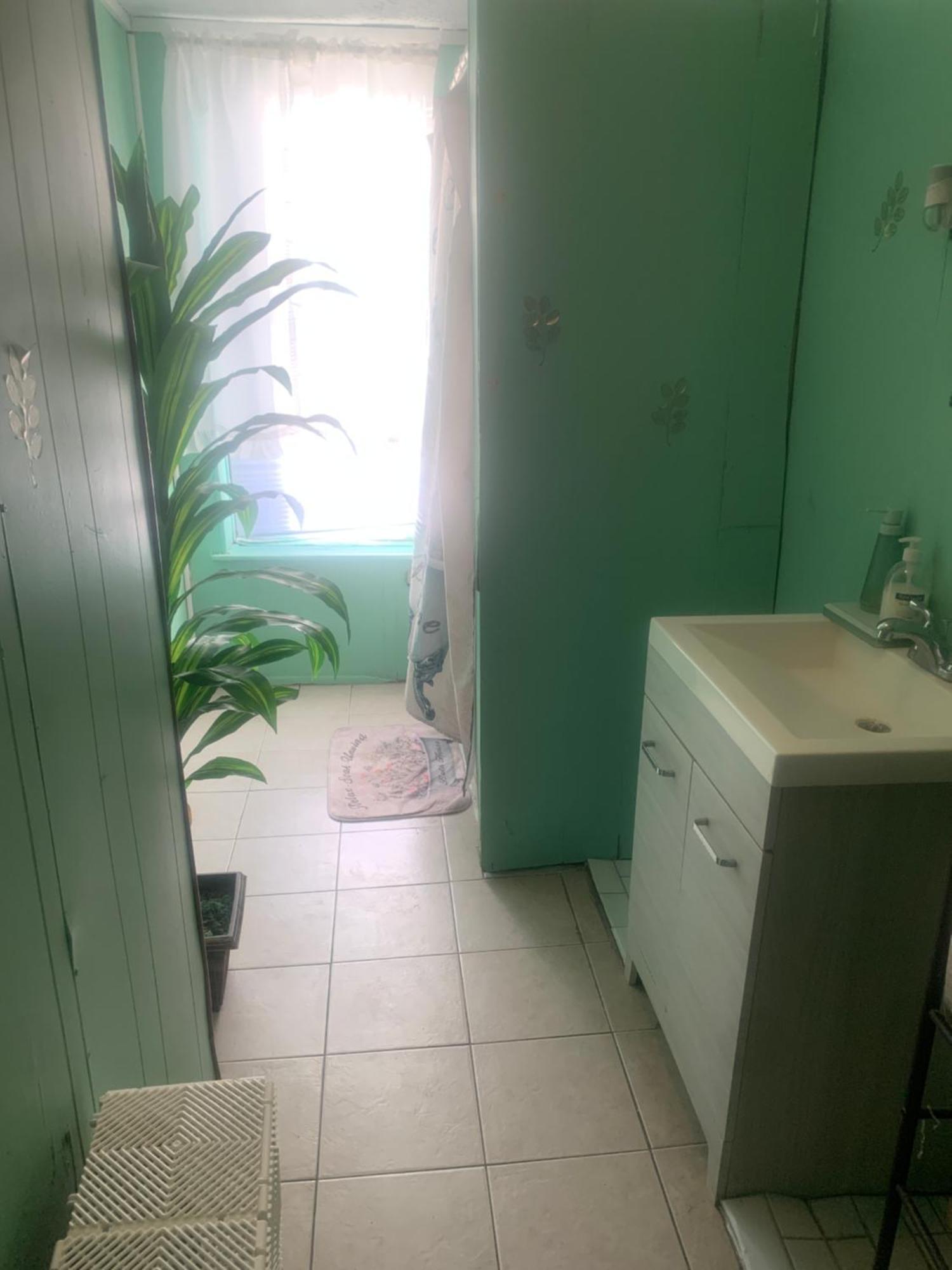 Appartement Cassandra's Private Getaway Heart Of Brooklyn New York