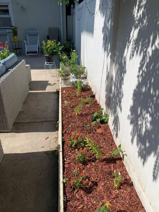 3 Bedroom Duplex W Large Backyard Appartement