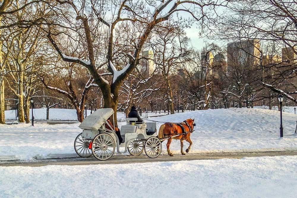 Upper East Side Manhattan Apartamento Nova York