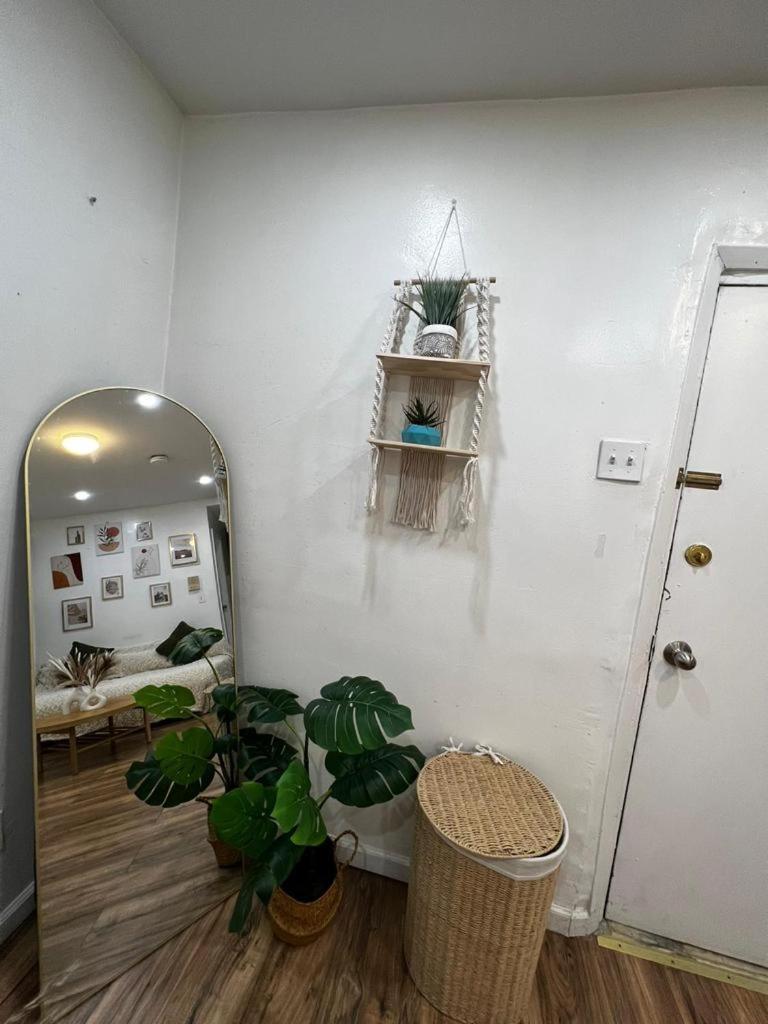 Amazing Ground Floor 2 Bedrooms In Nyc Subway Crossing The Street And One Station To Manhattan * Nova York