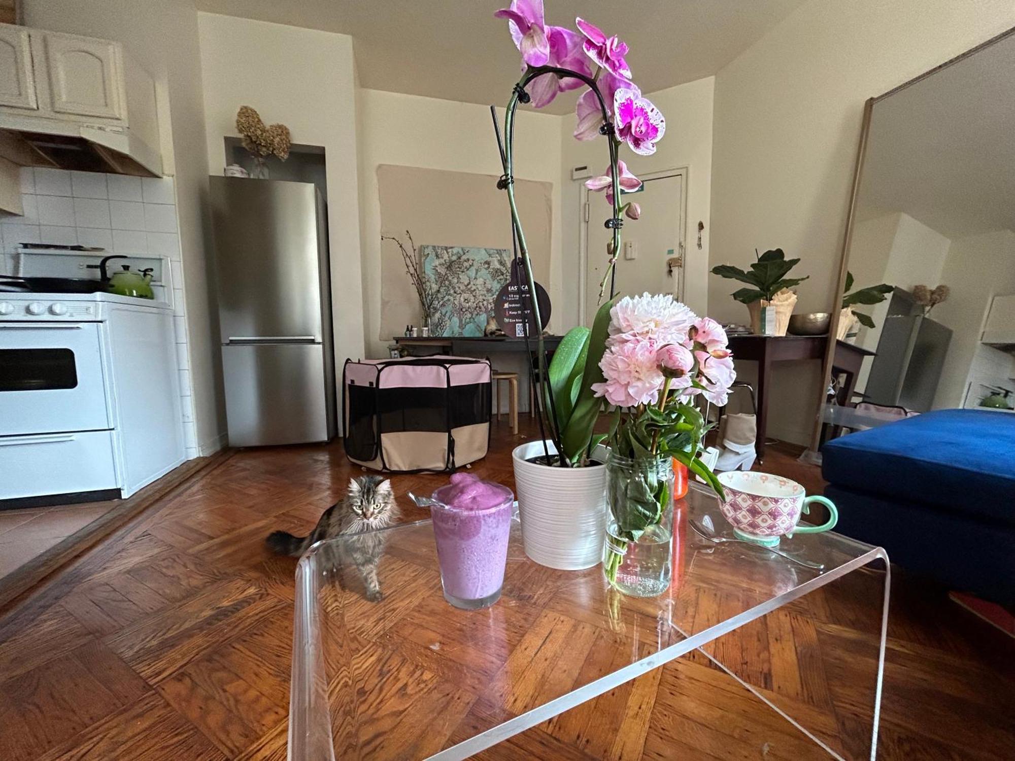 Bright Artist 2 Bedroom - One Block From Prospect Park - Across From The Train Appartement New York