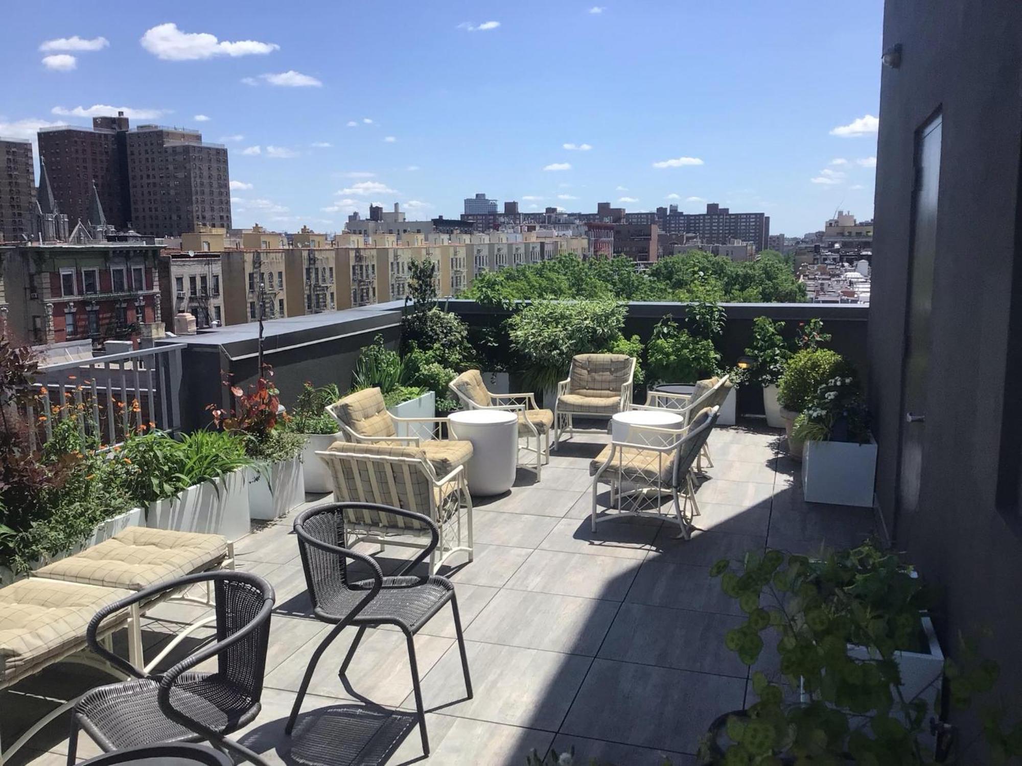 Beautiful Strivers Row, Harlem New York