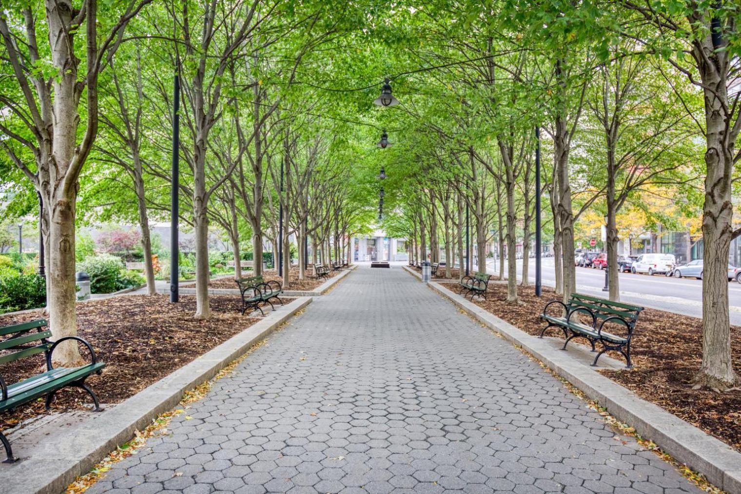 Apartment Fidi 2br W Elevator Gym Doorman Nr St Nyc-661 New York City