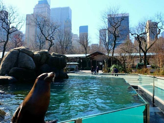 Appartement Your Nyc Escape! 1br Just Steps From Park